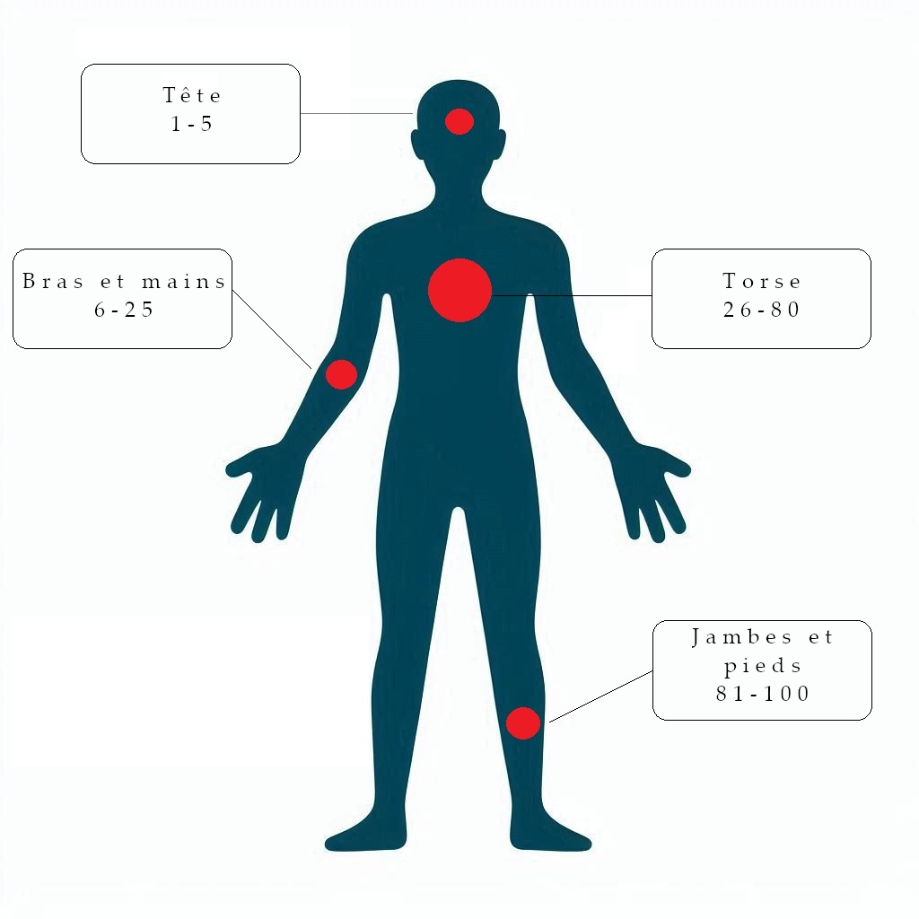 Localisation des blessures